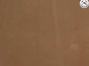 سنگ مرمریت پارادایس